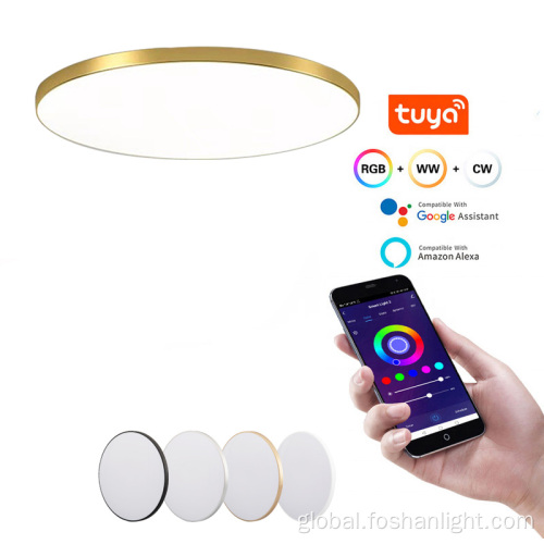  Slice Smart Ceiling light Tuya Smart Supplier